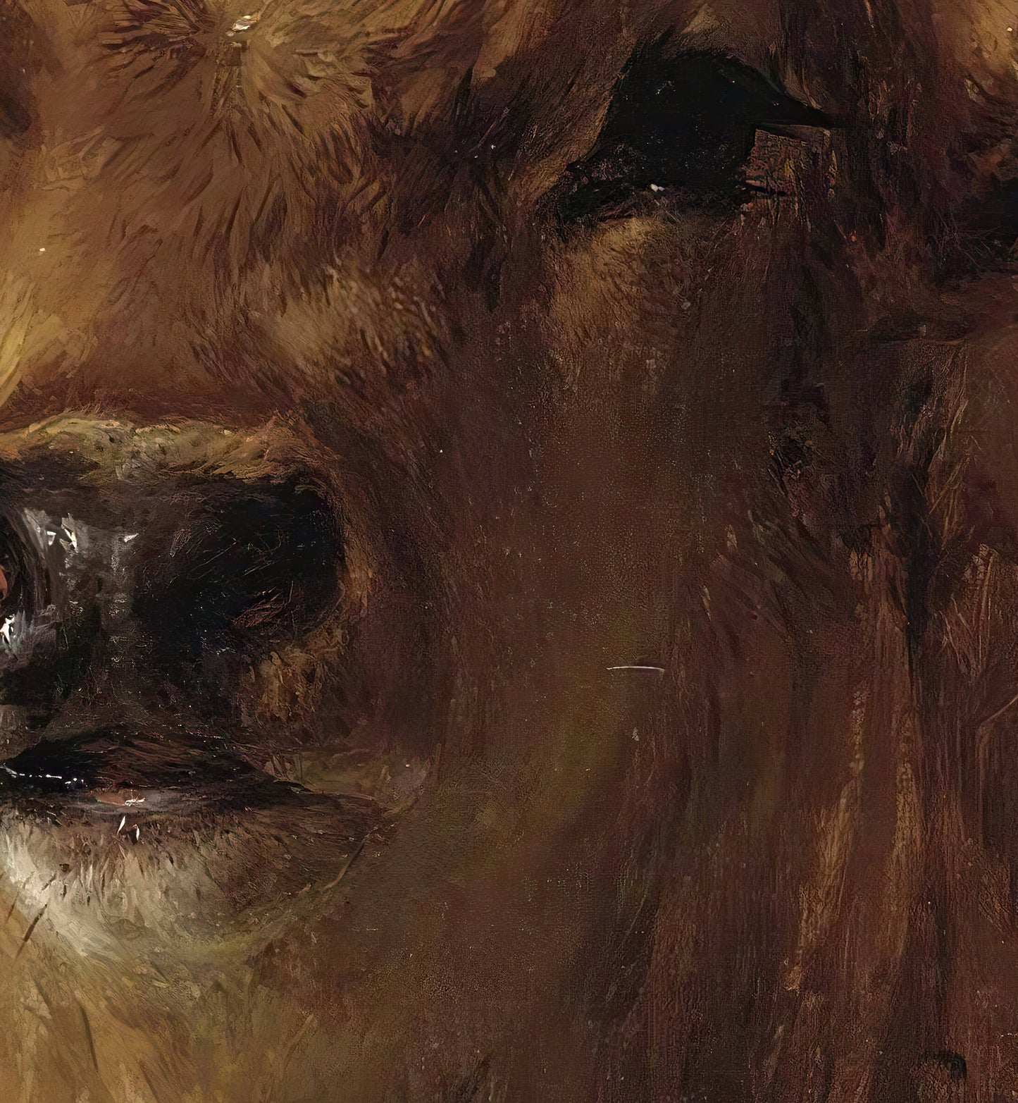 Head of a Calf