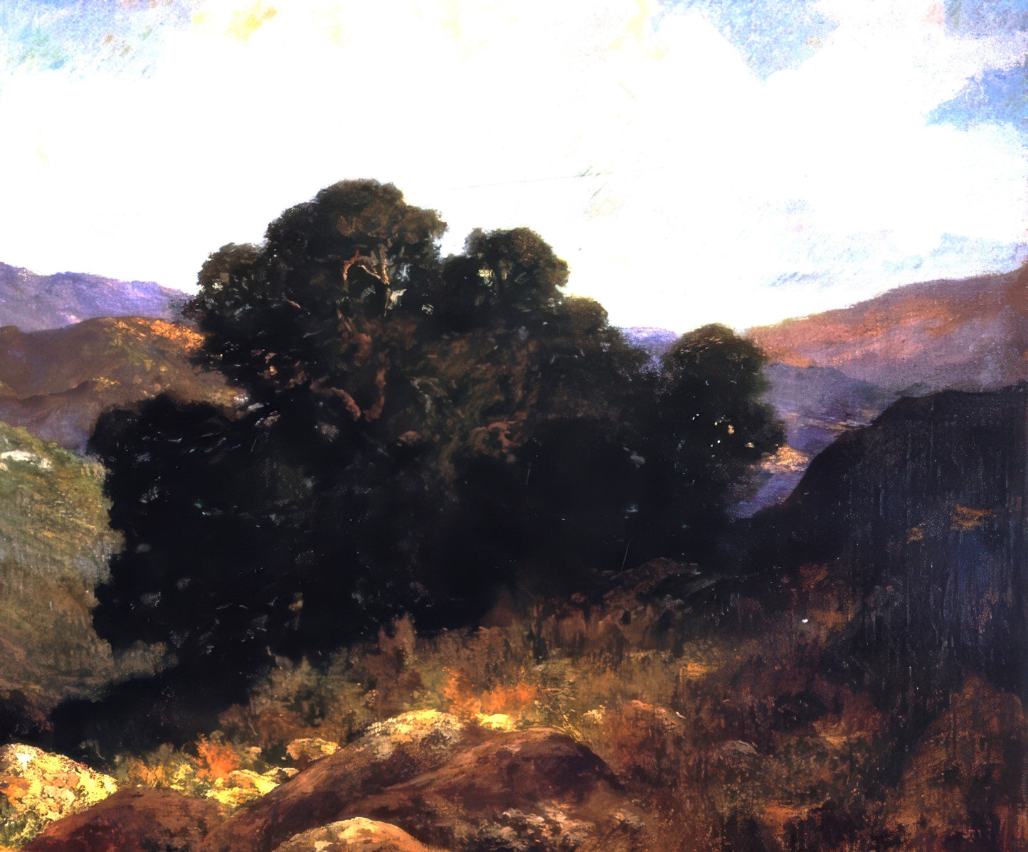 California Landscape