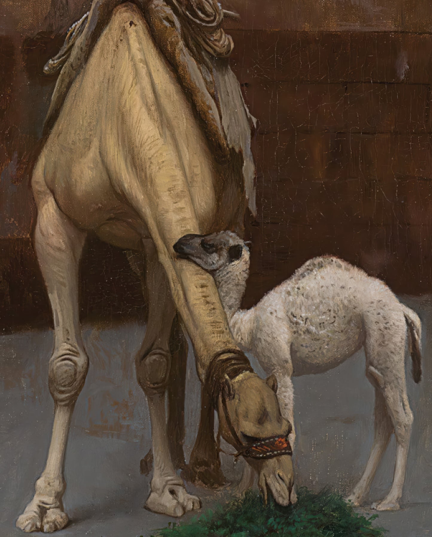 The Camel Driver
