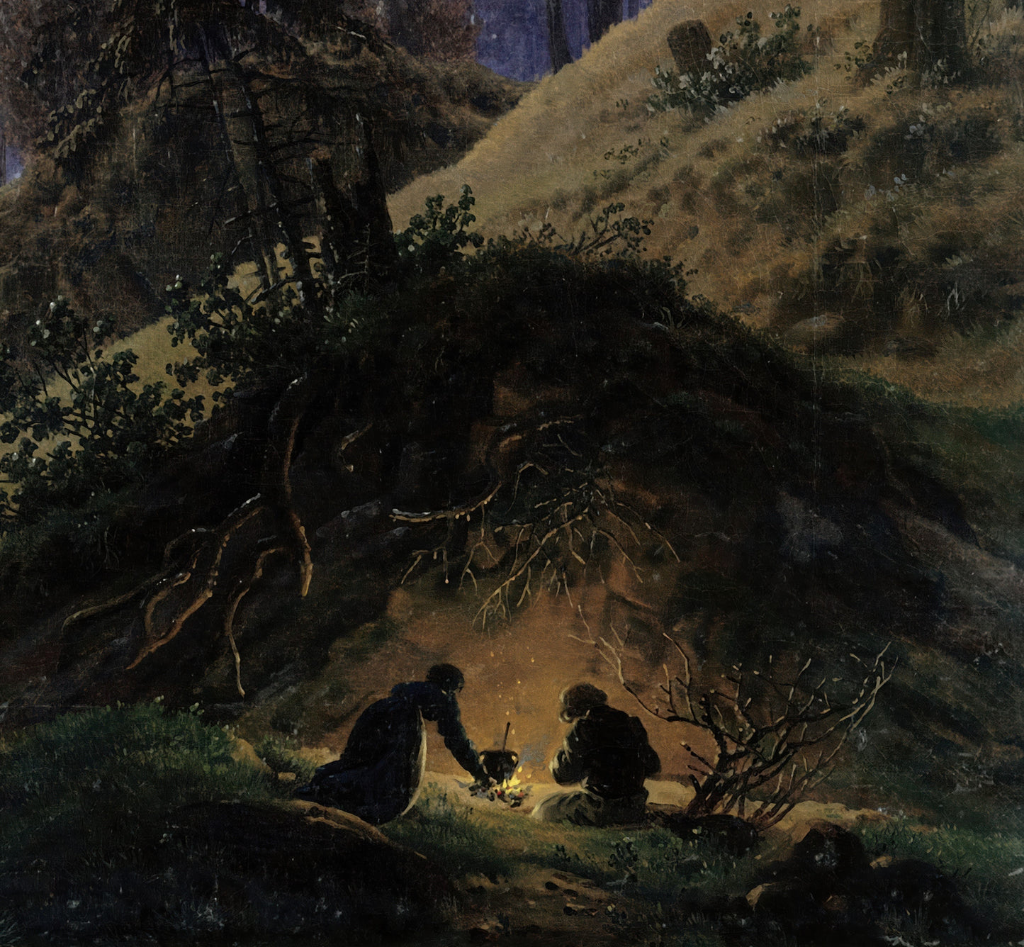 Inside the Forest in the Moonlight