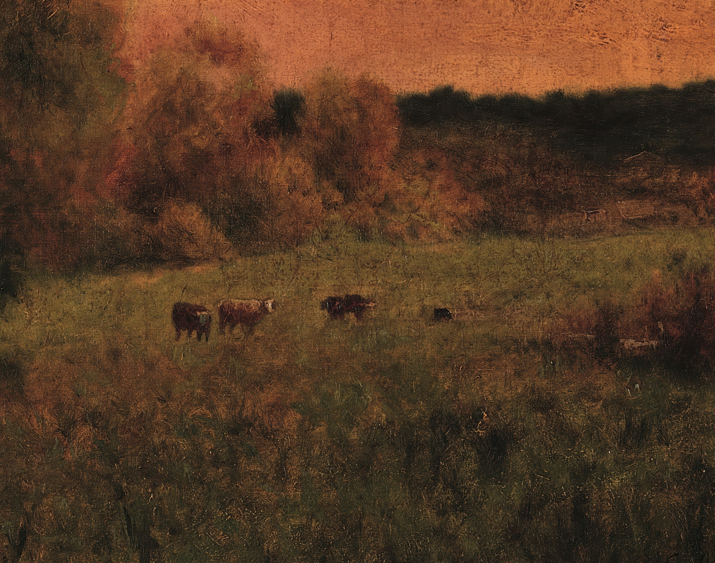 Cows in a Field