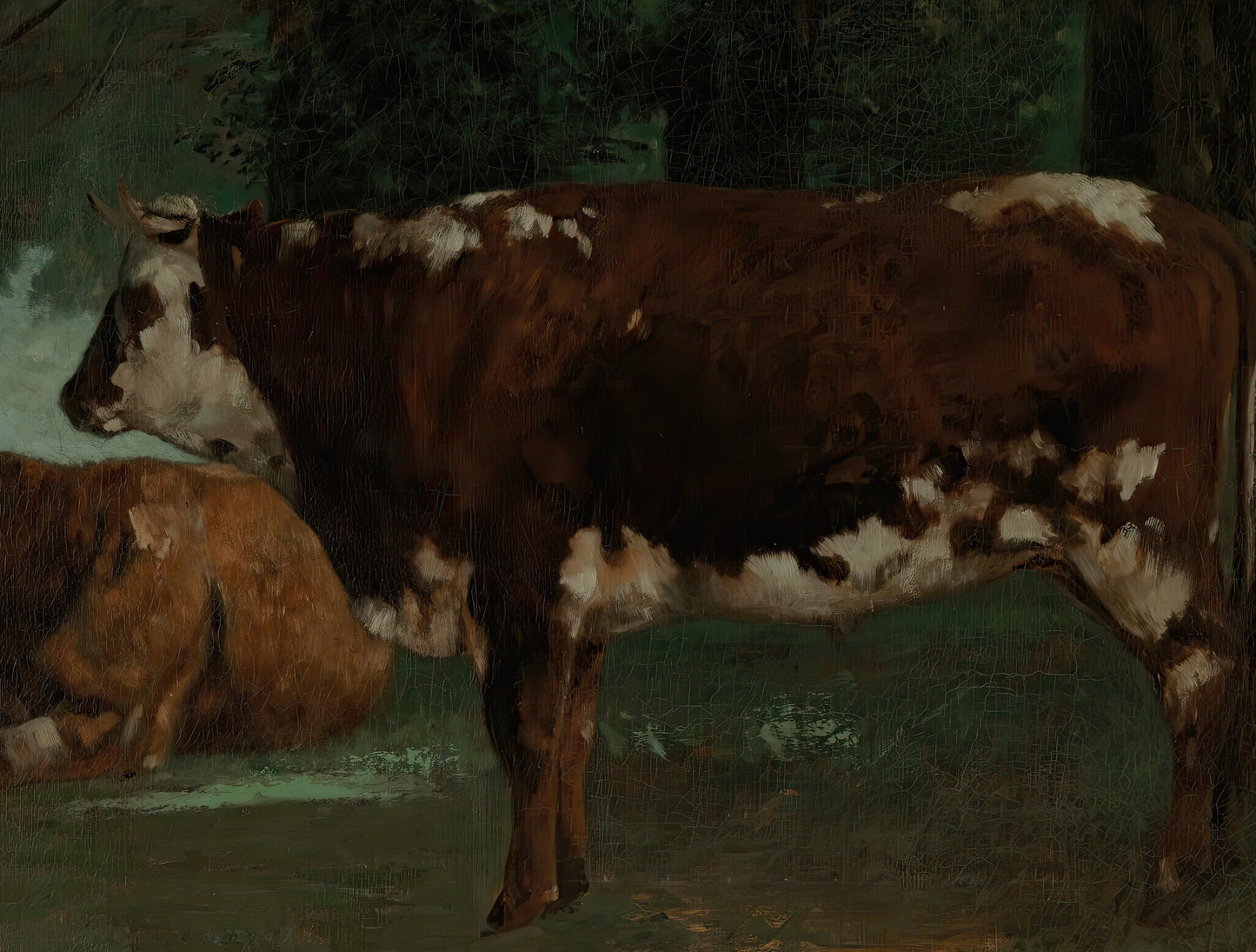 Two Brown Cows
