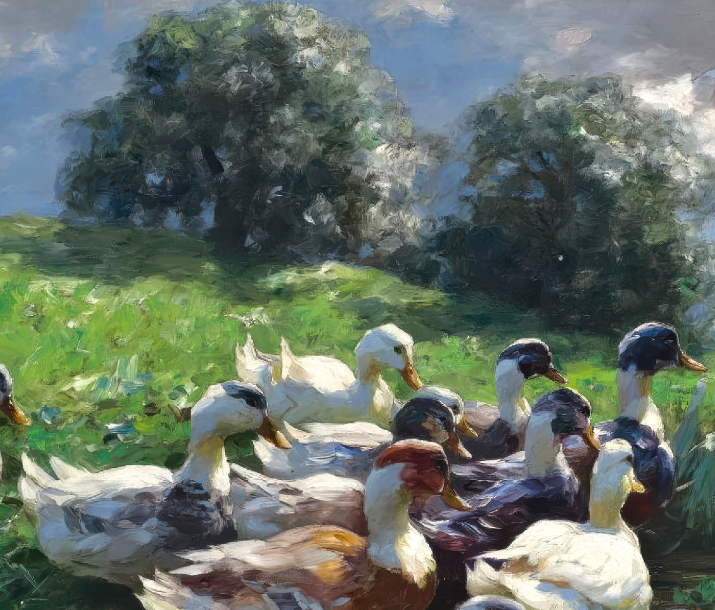 Ducks on a Lakeshore