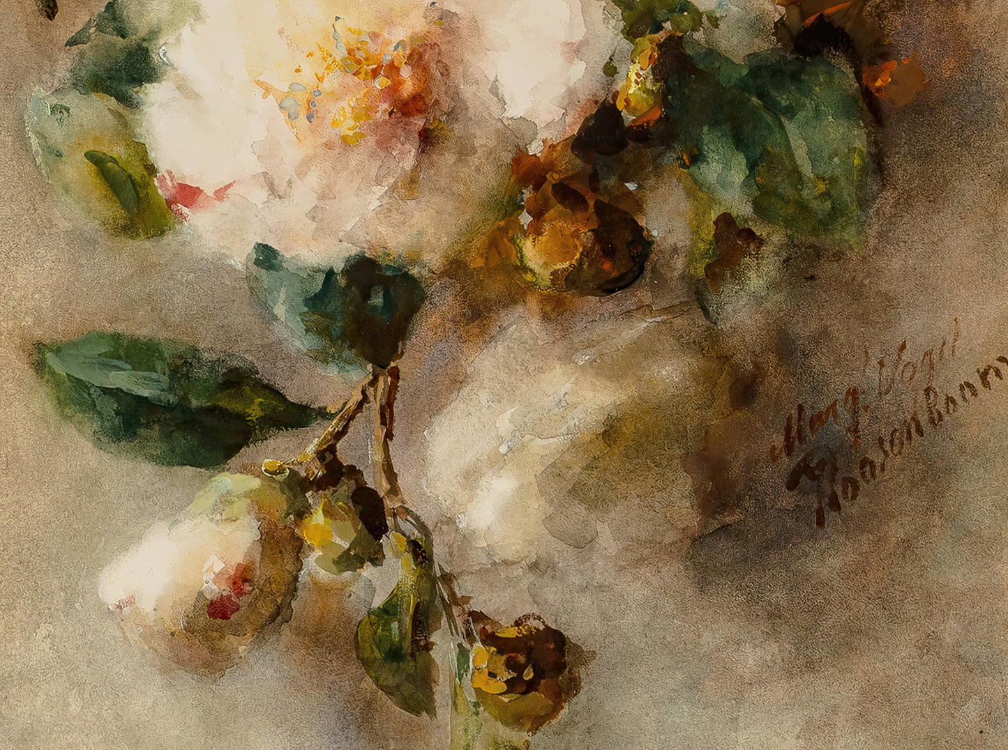 A Spray of Camelias Hanging from a Nail