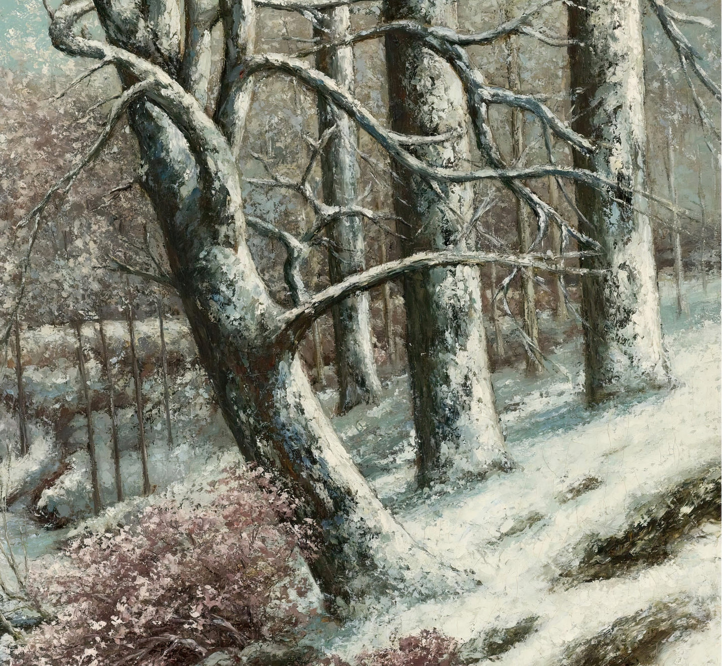 The Forest in Winter