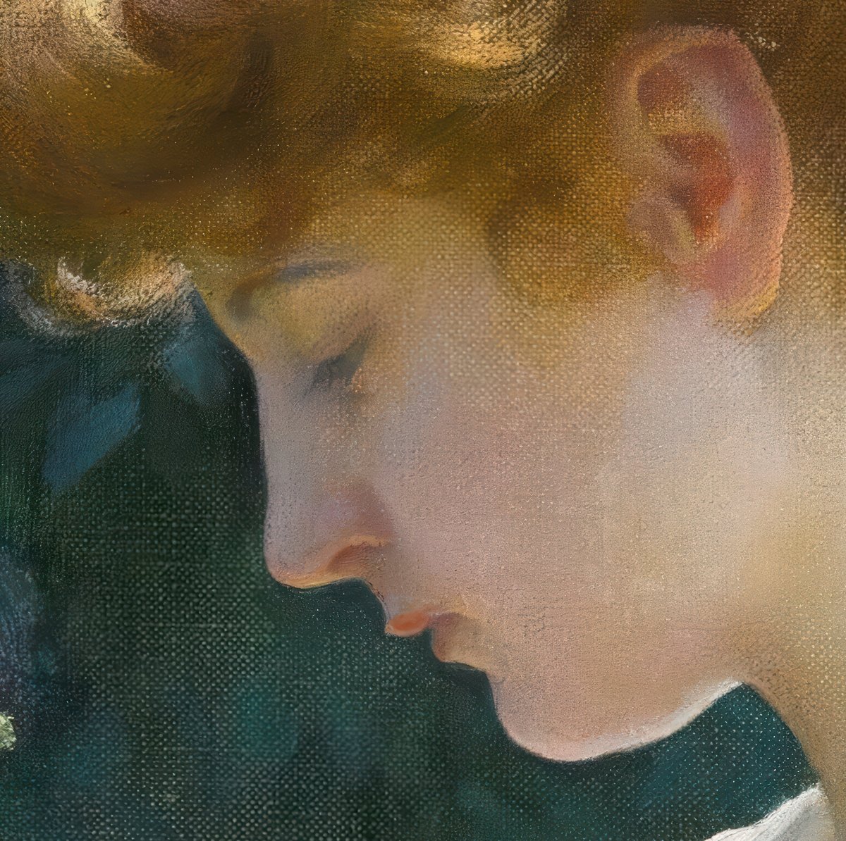 Hollyhocks and Sunlight