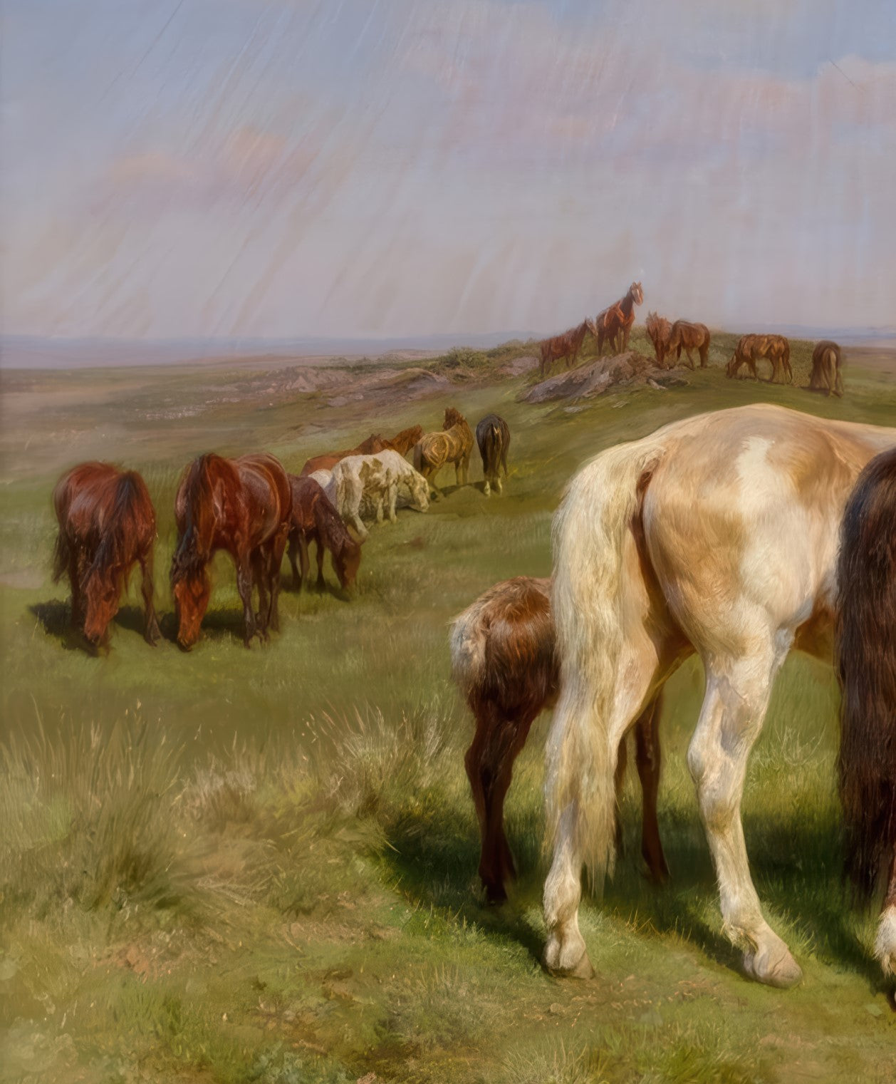 Horses in a Field