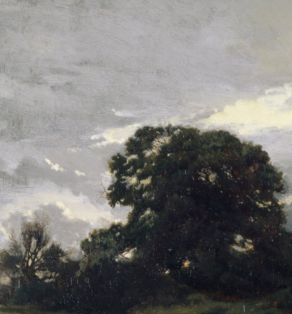 Landscape with Trees