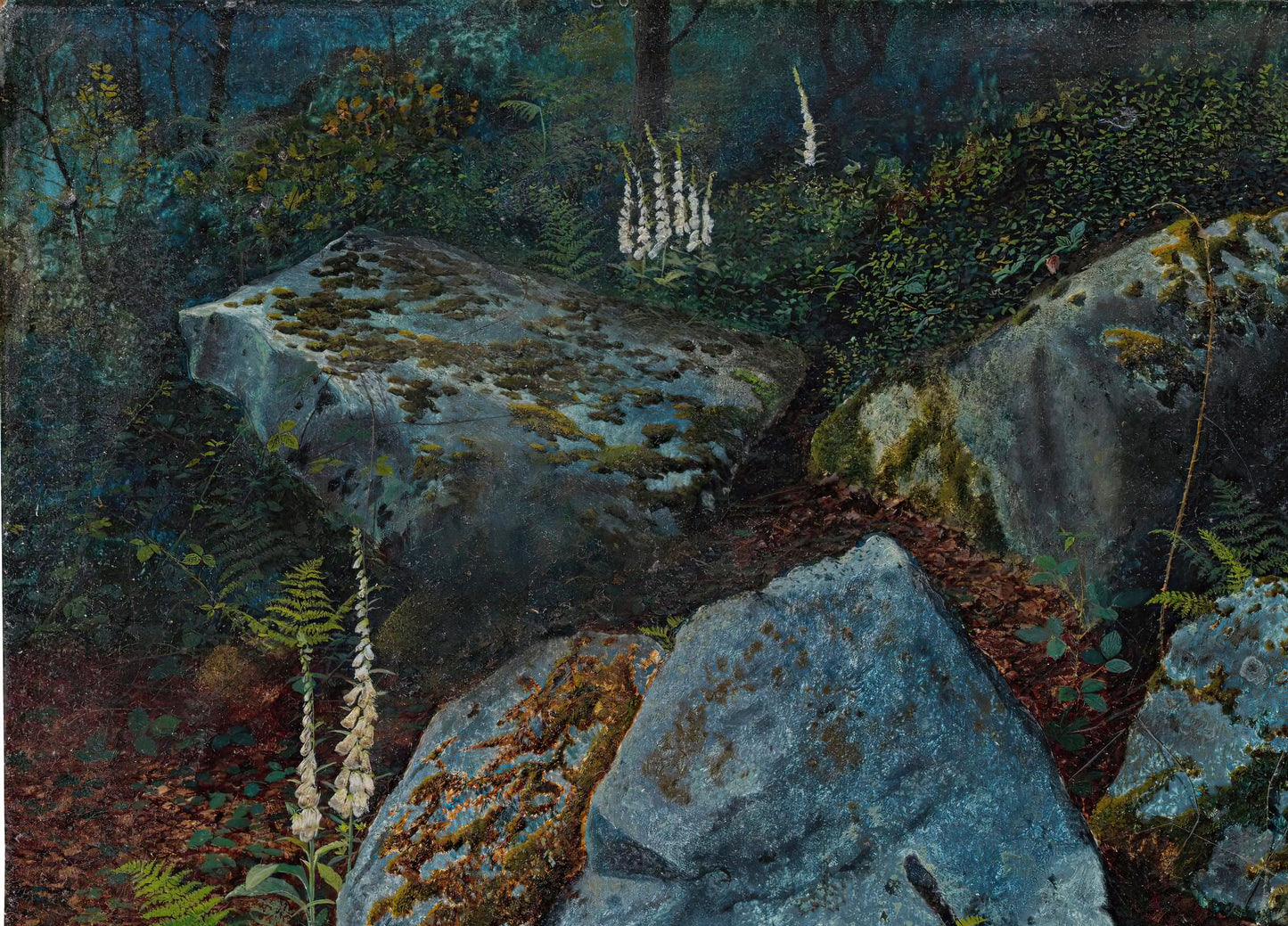 Baulders in Storstforth Wood