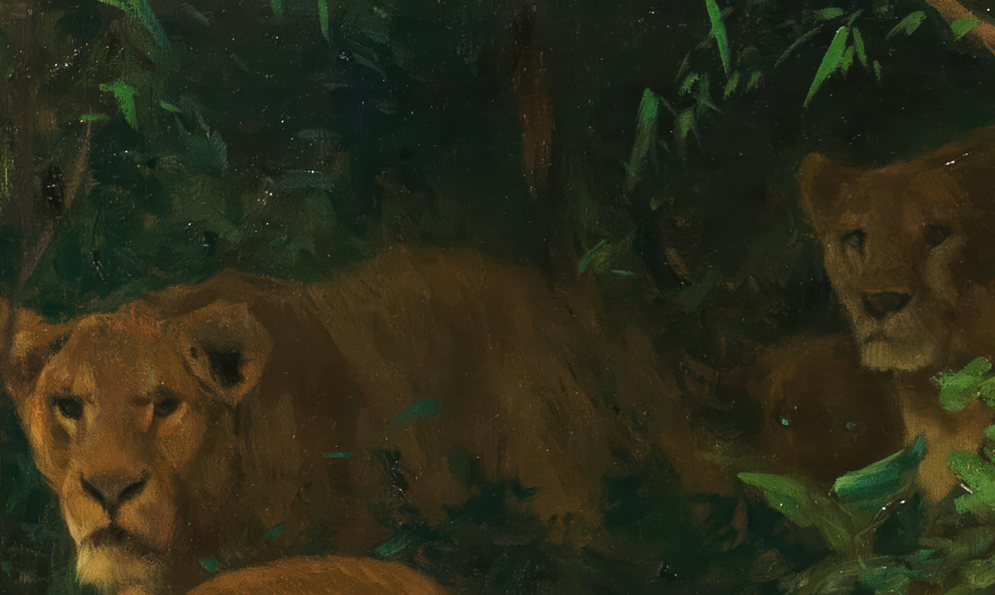 Lions at the Jungle Stream