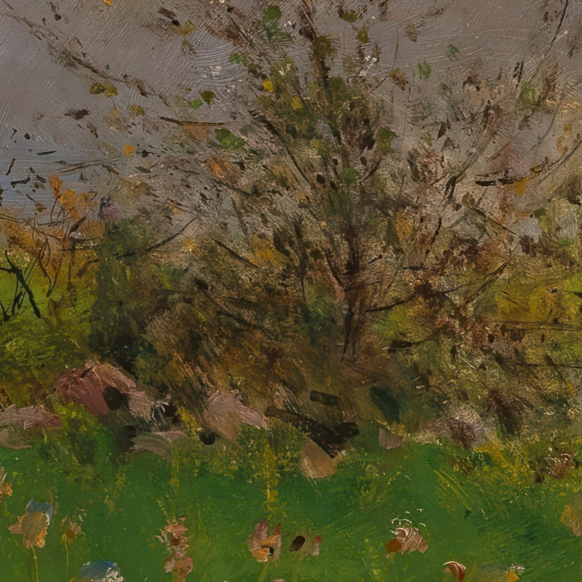 A Flower Meadow