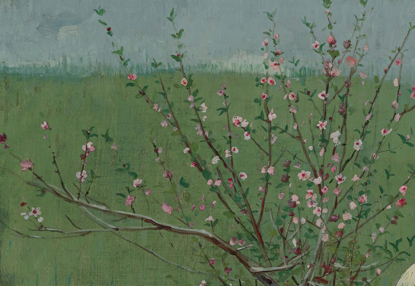Peach Blossoms