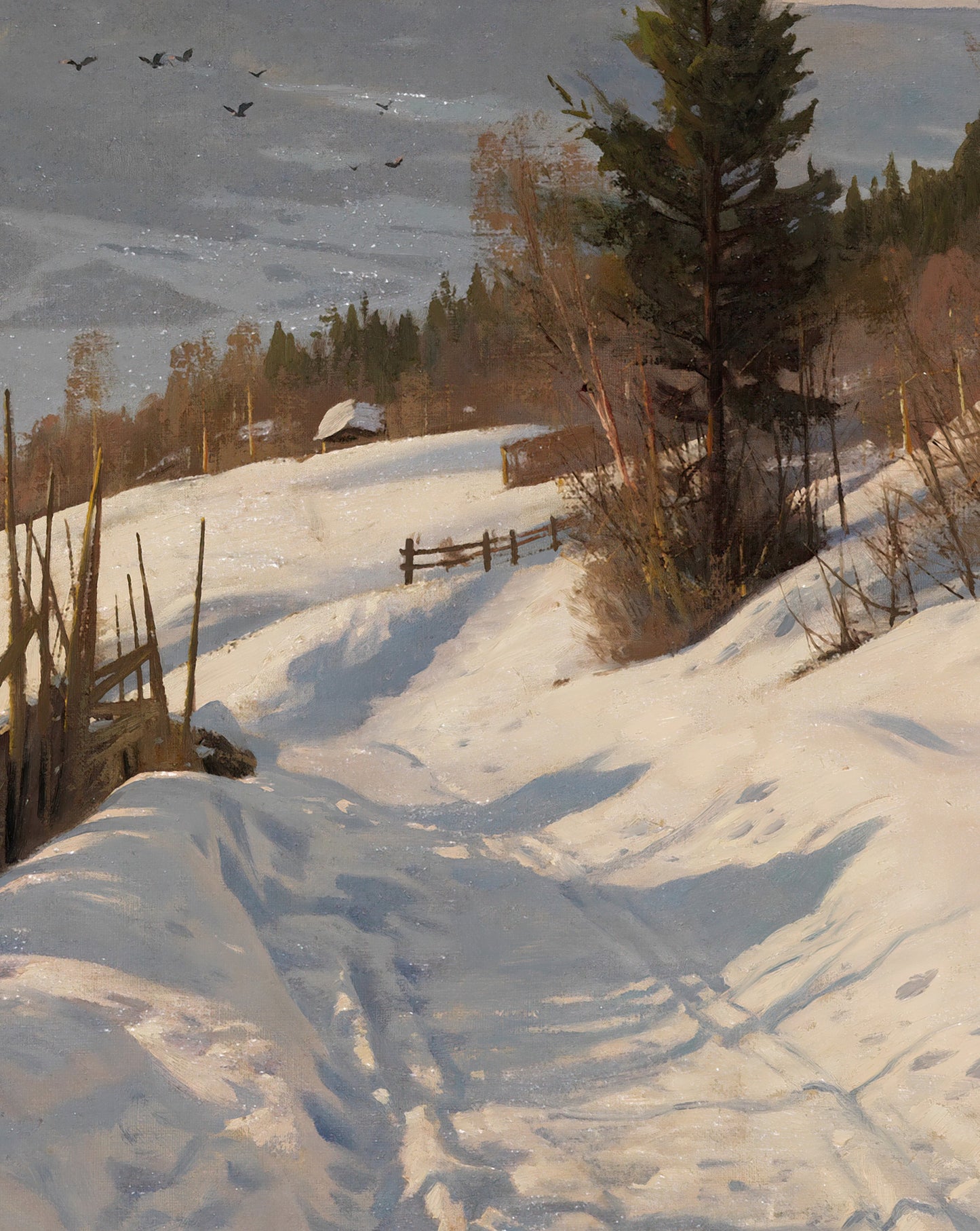 Sunny Winter Day in Norway