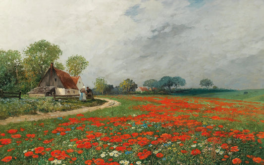 A Poppy Field With Daisies