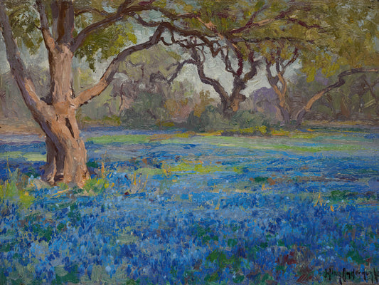 A Field of Blue Bonnets