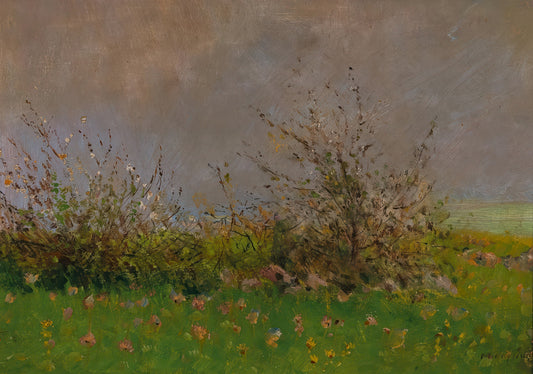 A Flower Meadow
