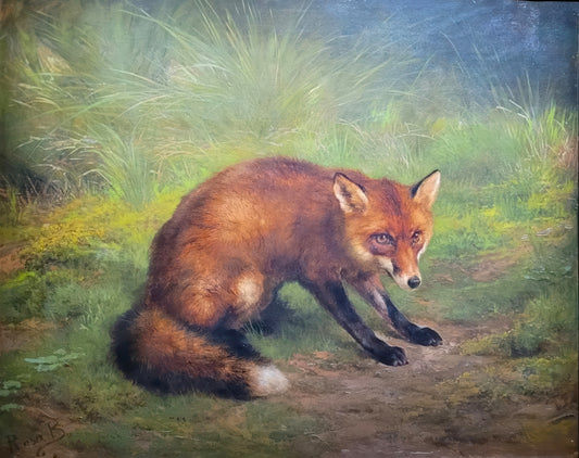 A Fox