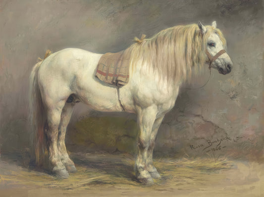 A White Horse