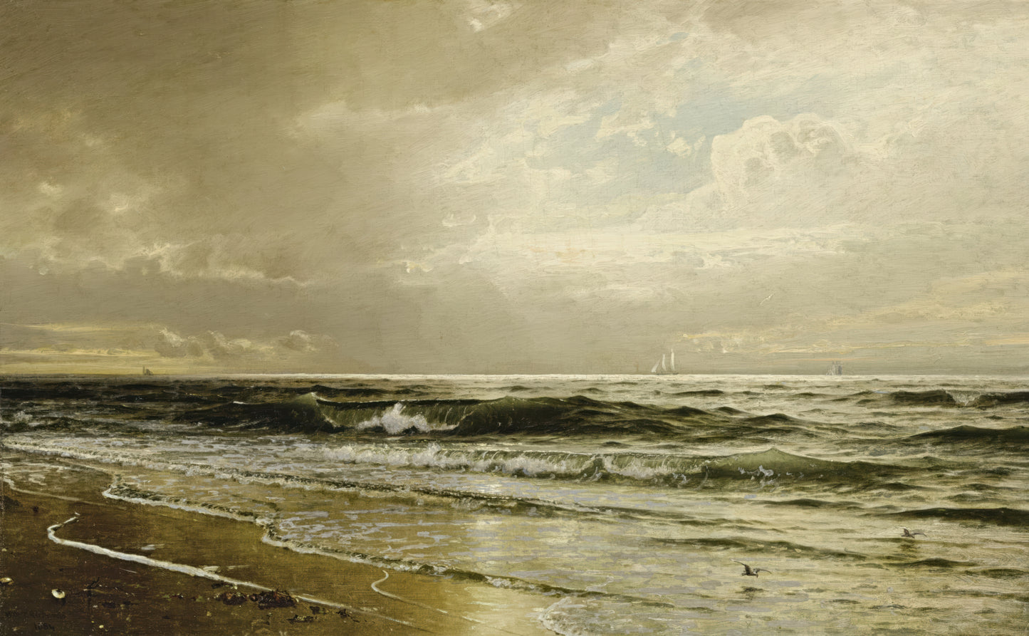 Afternoon, Long Beach