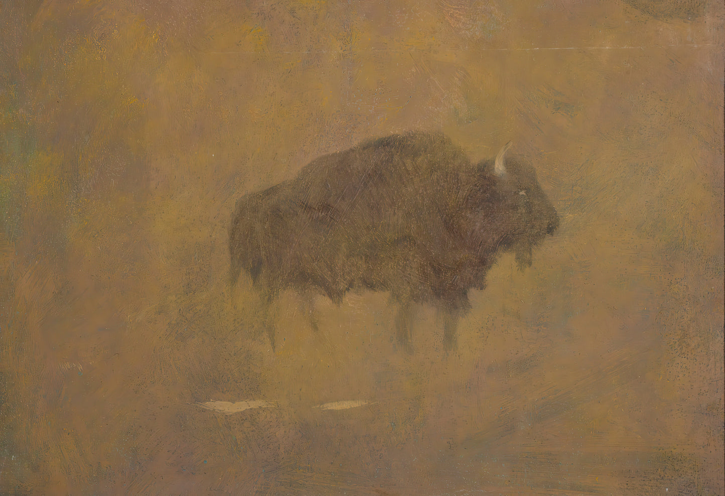 Buffalo in Sandstorm