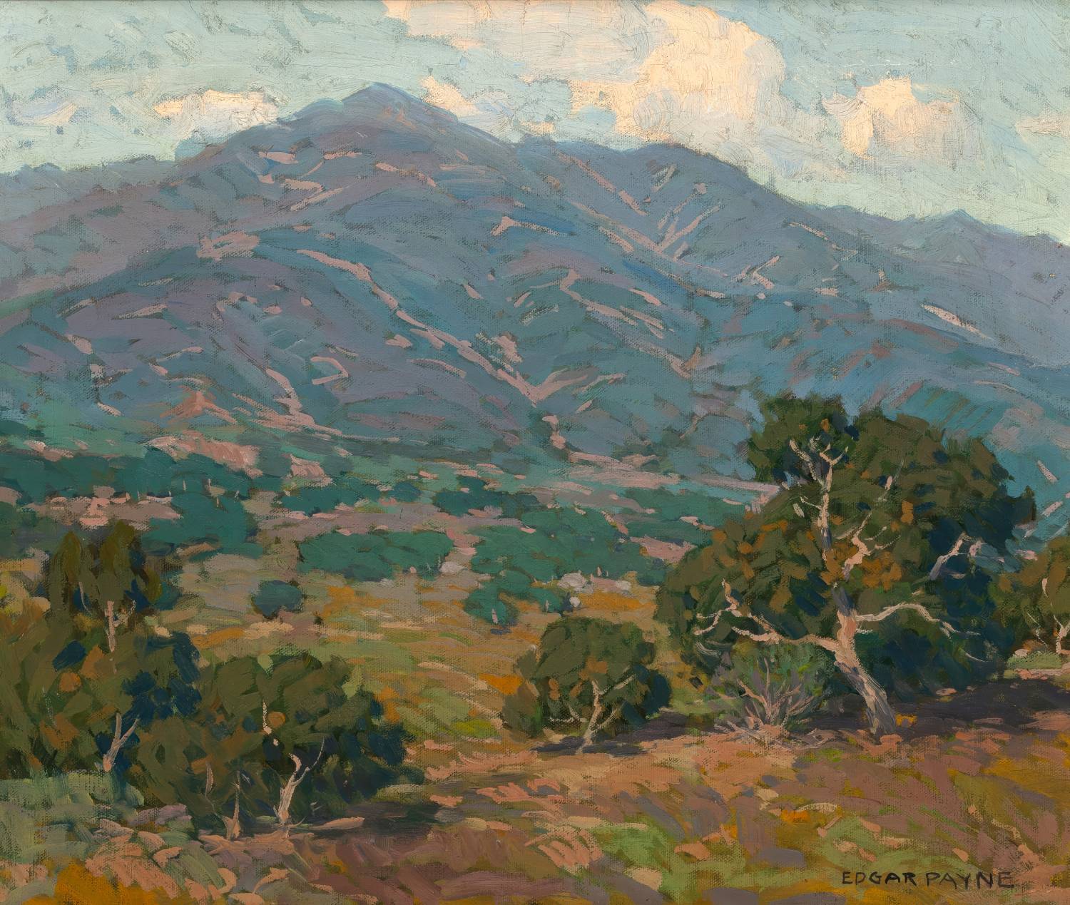 California Foothills with San Gabriel Mountains in the Distance