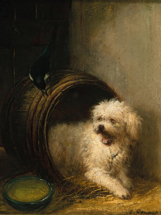 Dog in Barrel