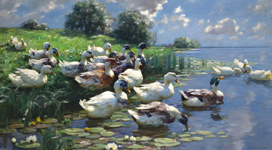 Ducks on a Lakeshore
