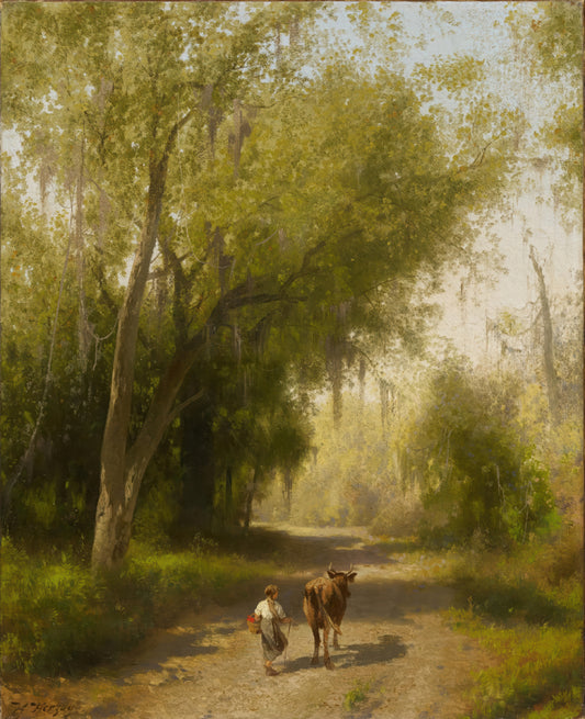 Forest Landscape in Florida