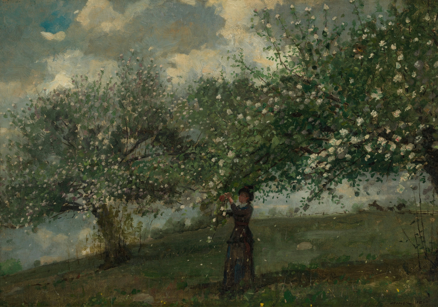 Girl Picking Apple Blossoms