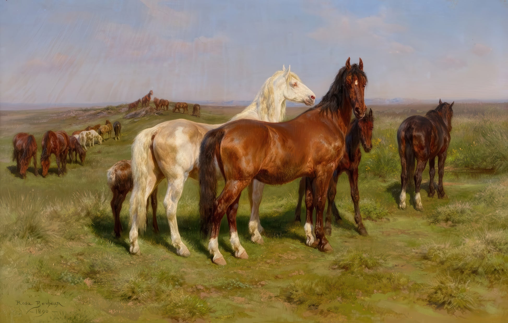 Horses in a Field