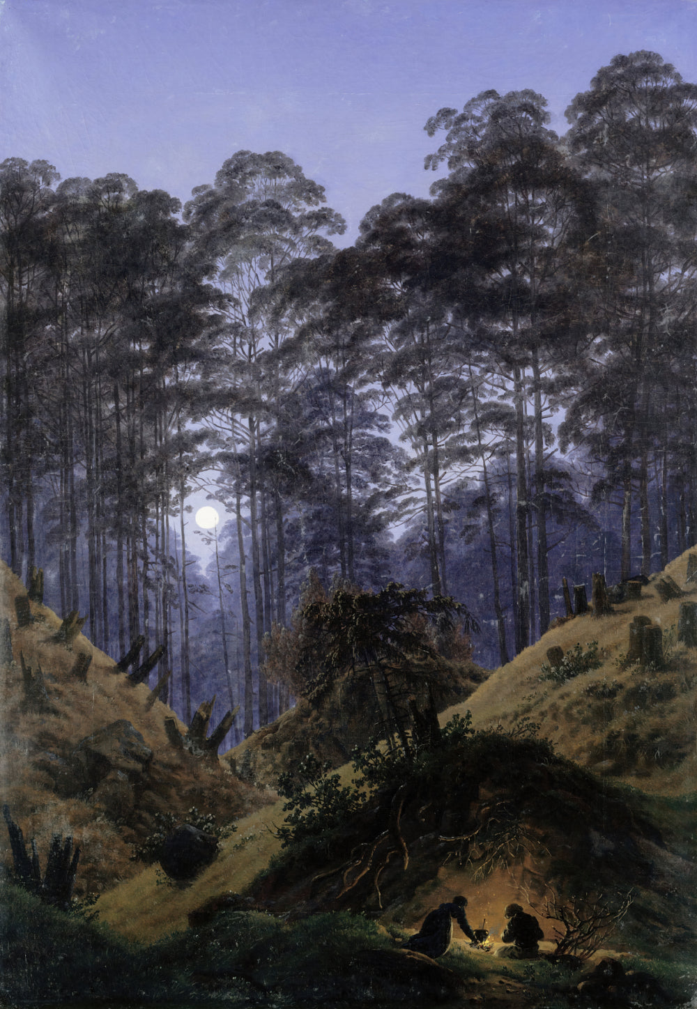 Inside the Forest in the Moonlight