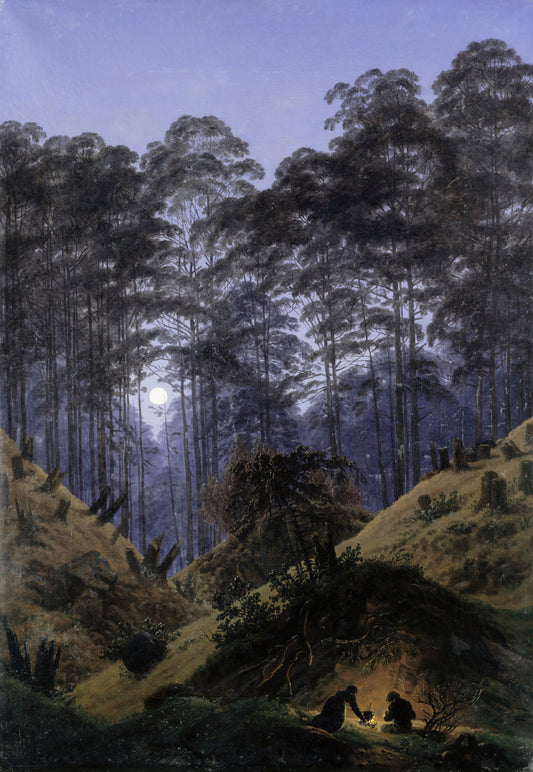Inside the Forest in the Moonlight