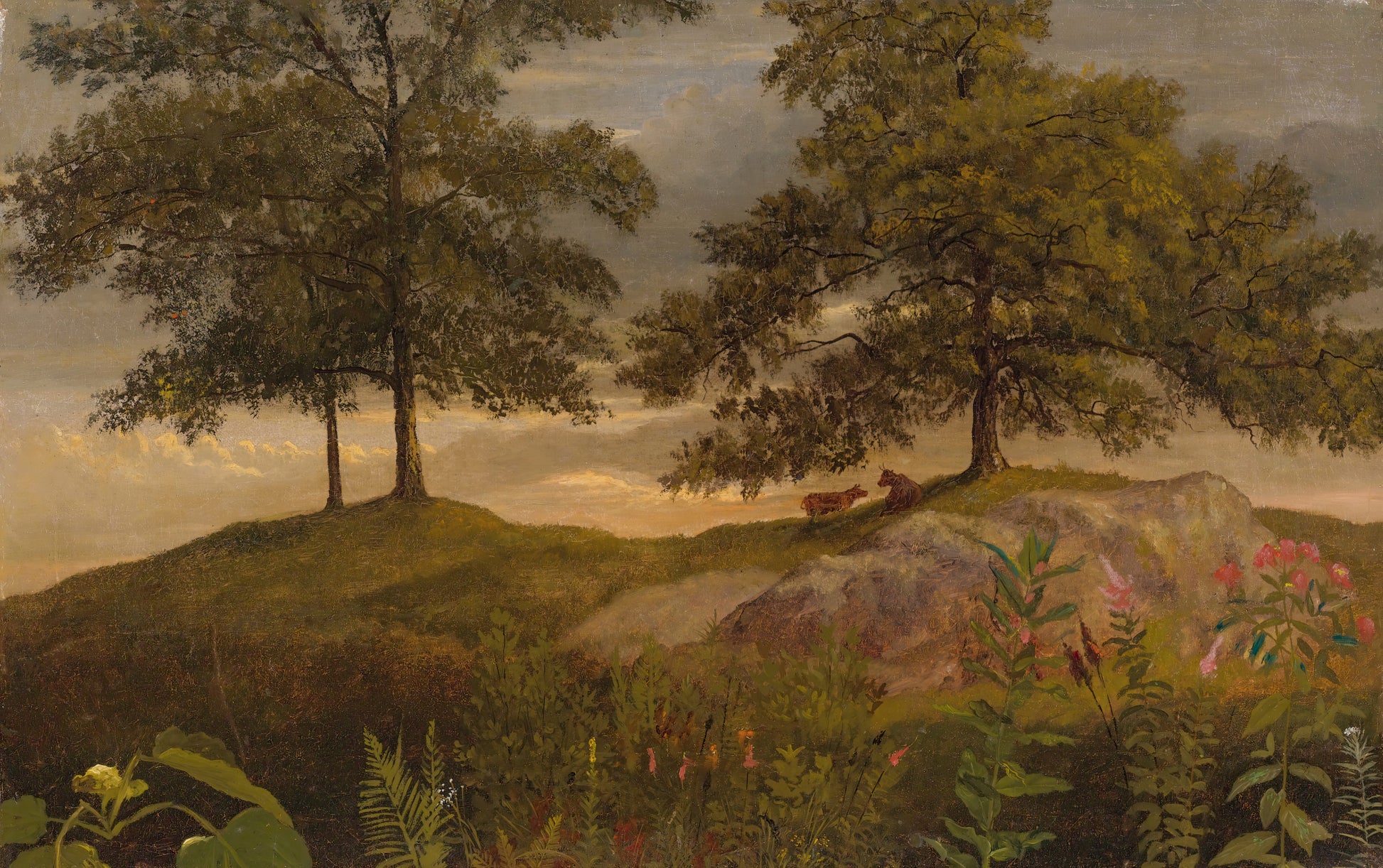 Landscape with Cows