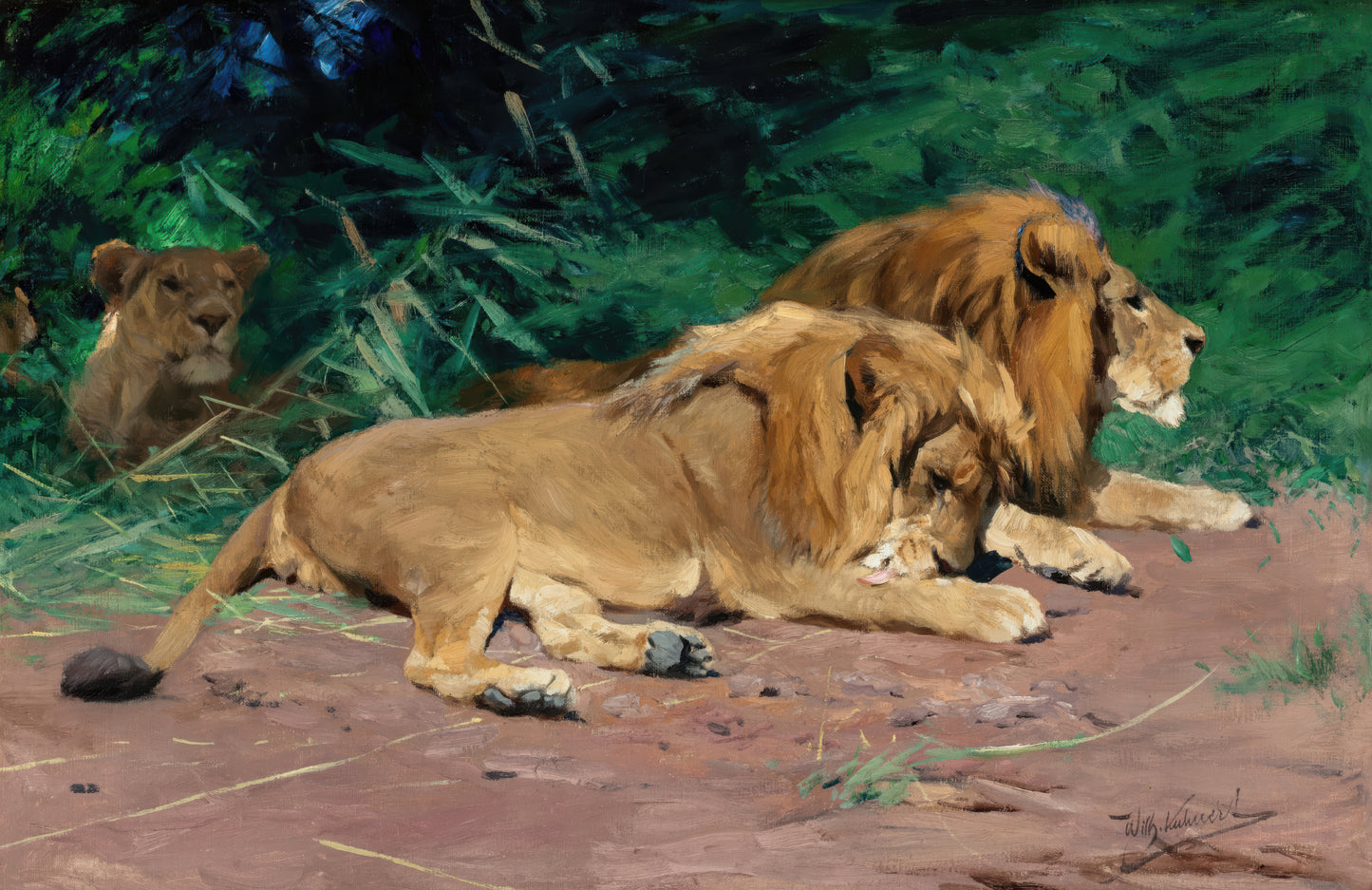 Lions in Rest