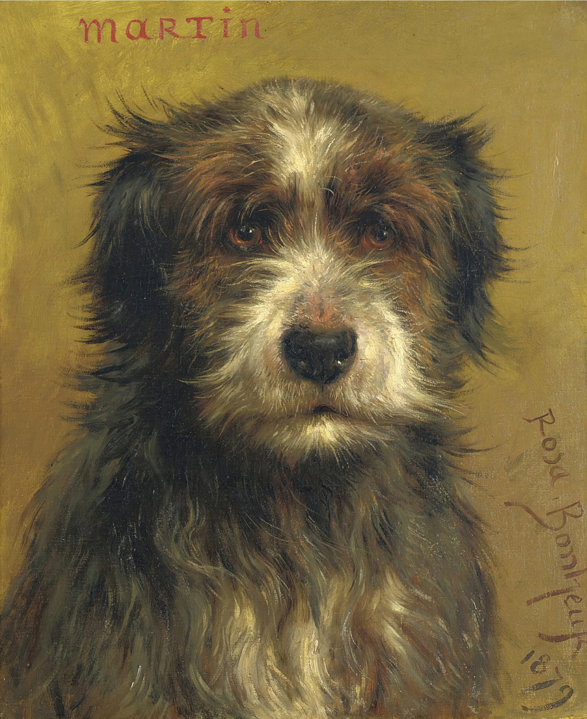 Martin, a Terrier