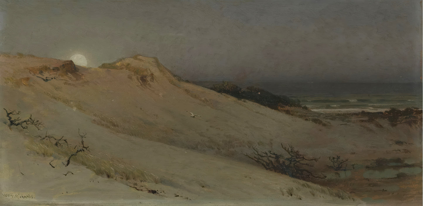 Moonrise over the Dunes