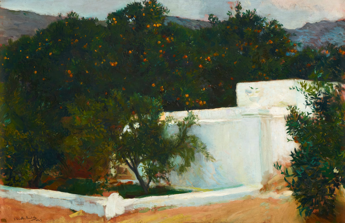 Orange Trees, Valencia