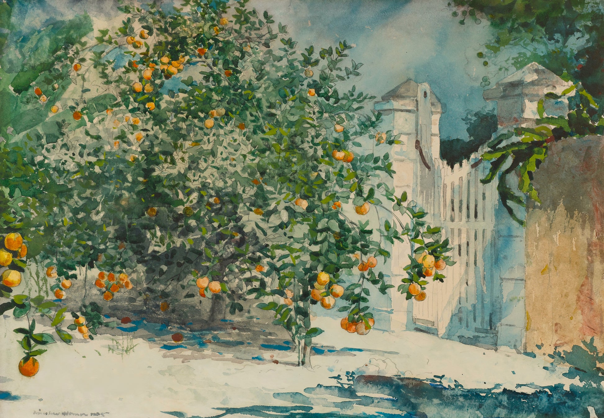 Orange Trees and Gate
