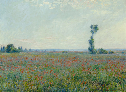 Poppy Field