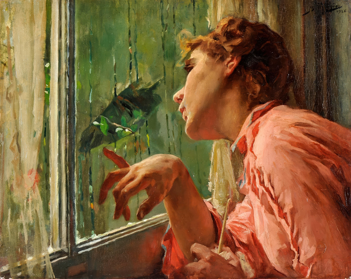 Lady Between the Windowpanes