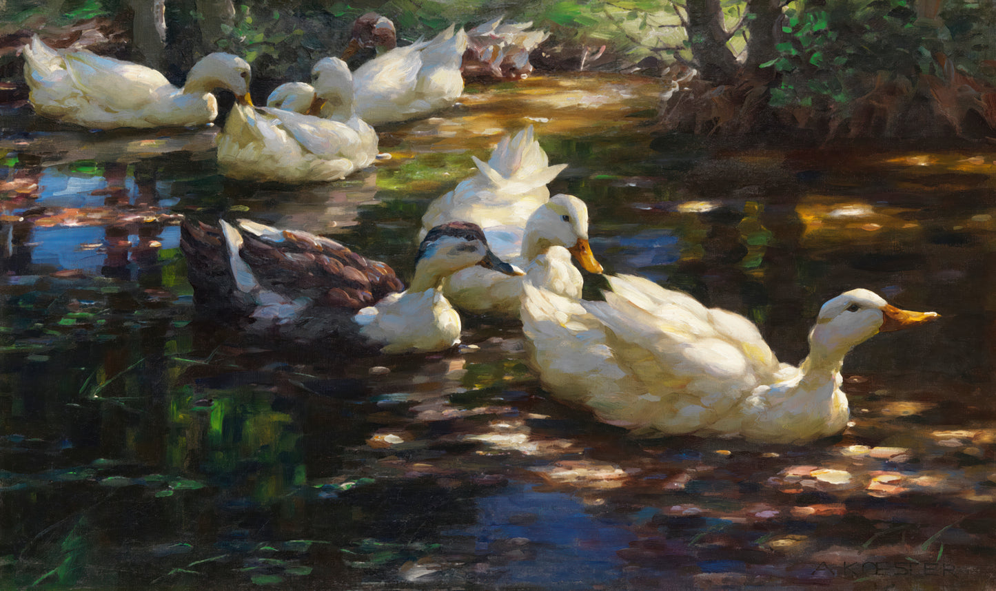 Seven Ducks in a Shady Pond
