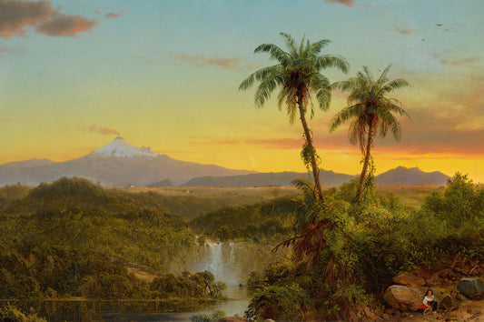South American Landscape