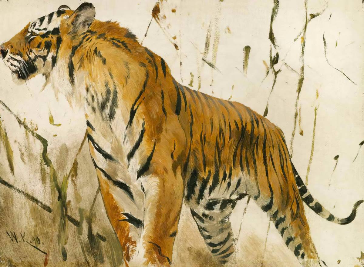 Study of a Tiger