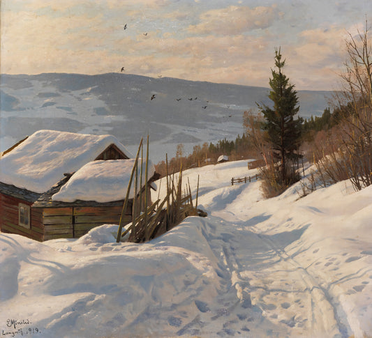 Sunny Winter Day in Norway