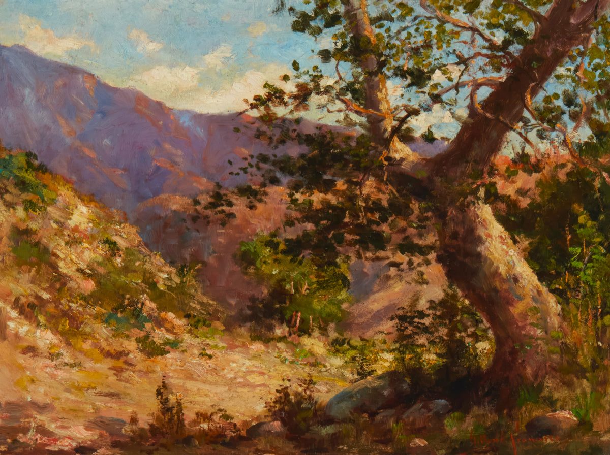 Sycamore Tree in a Canyon