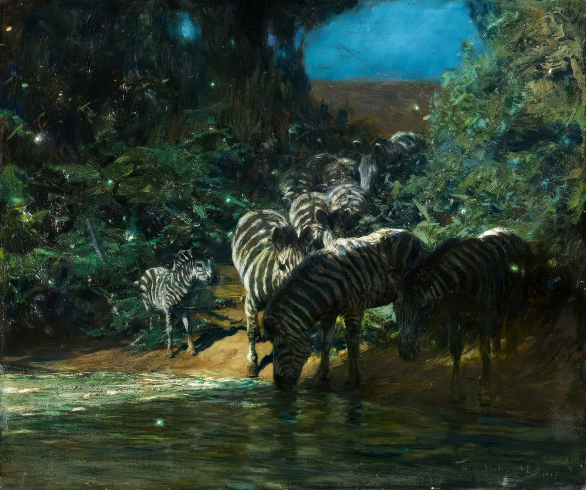 Tropical Night at the River