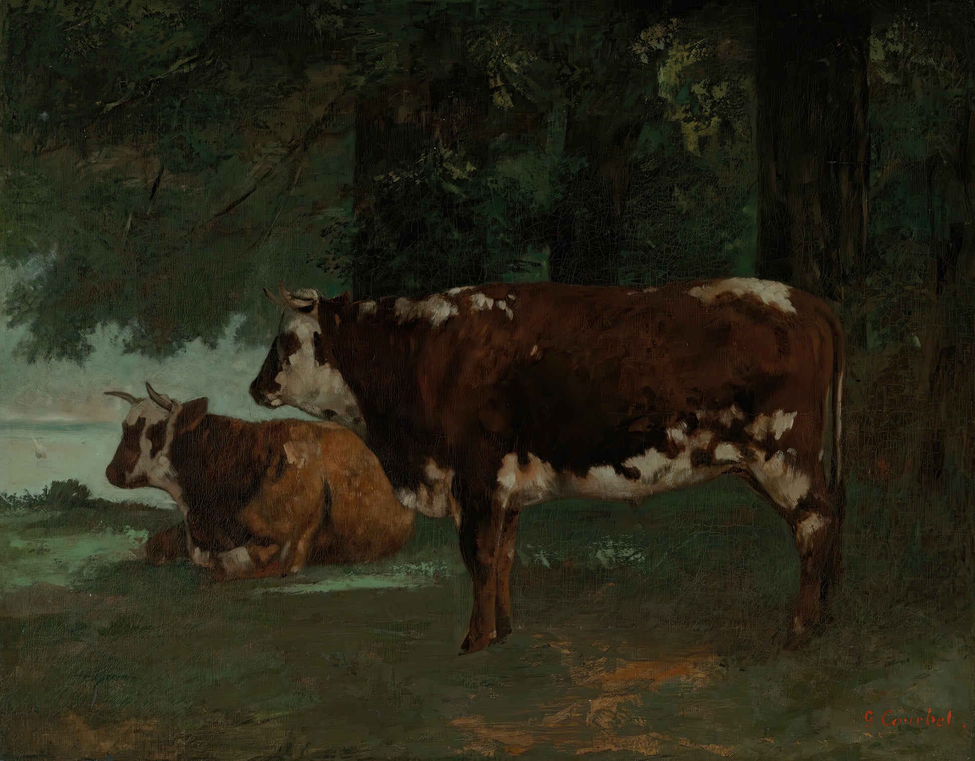 Two Brown Cows