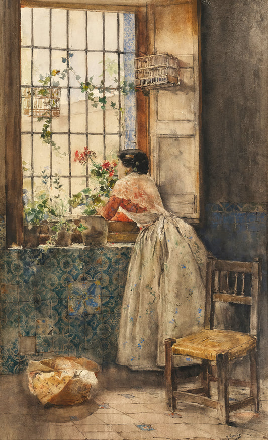 Valenciana at the Window