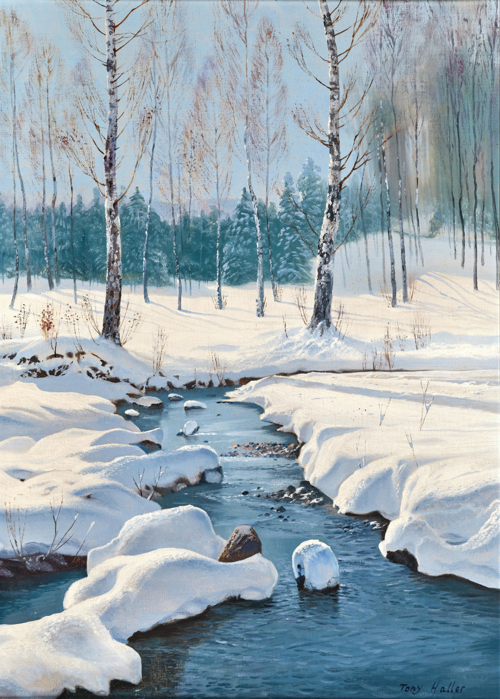 Winter Landscape