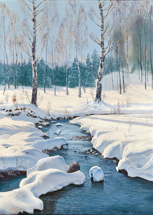 Winter Landscape